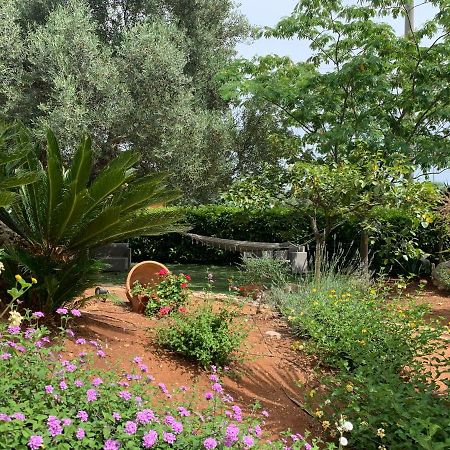 B&B All'Ombra Degli Ulivi ออสตูนี ภายนอก รูปภาพ